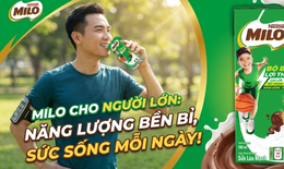 Người lớn uống sữa Milo có tốt không? Có tác dụng gì?