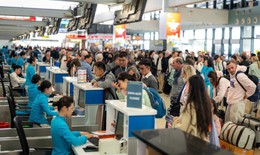 H&#224;ng kh&#244;ng 2025: Nhiều t&#224;u bay dừng khai th&#225;c, sự cố chim - động vật tăng đ&#225;ng lo ngại