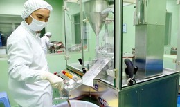 Thủ tướng kiện toàn Ban Chỉ đạo quốc gia phát triển ngành Dược Việt Nam