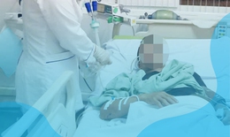 Ăn cá nóc, nam thanh niên bị ngộ độc nguy kịch