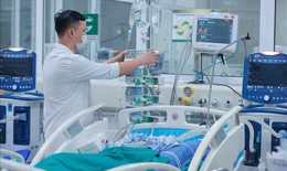 WHO: Virus c&#250;m A chiếm ưu thế trong m&#249;a c&#250;m to&#224;n cầu