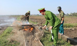 Truy quét hàng loạt vụ săn bắt, buôn bán động vật hoang dã