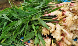 4 nhóm người tuyệt đối không nên ăn gừng 
