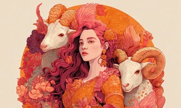 Tử vi 12 cung hoàng đạo hôm nay 14/12 - chi tiết tử vi 12 chòm sao ngày mới