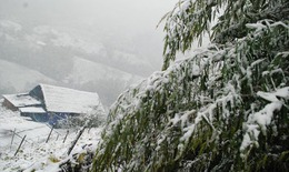 Th&#244;ng tin mới nhất về đợt r&#233;t đang bao phủ miền Bắc