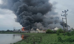 Ch&#225;y xưởng sản xuất gi&#224;y da 12.000 m2 ở Hải Ph&#242;ng