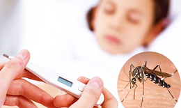 Các vitamin cần bổ sung sau sốt xuất huyết giúp cơ thể mau hồi phục