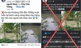 Triệu tập thanh niên đưa tin bịa đặt về cá sấu 'khổng lồ'