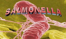 Có nên ăn thịt nấu chín để qua đêm ngoài tủ lạnh?