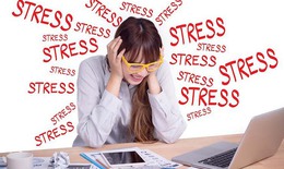 4 chất đến từ thảo dược giúp giảm căng thẳng cho não bộ