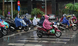 Những lỗi vi phạm giao thông người dân hay mắc phải và bị phạt nguội