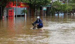 Thiên tai năm 2026 được dự báo tiếp tục diễn biến khó lường