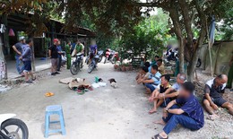 Đột kích bãi đất trống, bắt giữ 8 đối tượng tham gia đá gà ăn tiền