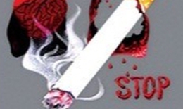 Cơ chế tài chính bền vững, điều kiện tiên quyết để bảo vệ thành quả 10 năm phòng, chống tác hại thuốc lá