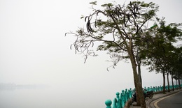 Miền Bắc trời rét kèm sương mù dài ngày