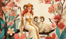 Tử vi 12 cung hoàng đạo hôm nay 19/12 - chi tiết tử vi 12 chòm sao ngày mới