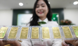 Giá vàng hôm nay ngày 19/12 án binh bất động