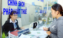 Thuế TP Hà Nội thông báo dùng AI hỗ trợ hộ, cá nhân khai thuế
