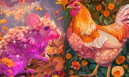 Tử vi 12 con giáp hôm nay 20/12: Mão hanh thông, Dần tài lộc rực rỡ