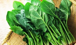 Gan nhiễm mỡ: 5 thực phẩm gi&#250;p bổ gan, giải độc tự nhi&#234;n