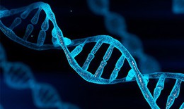 Phát hiện gene giúp tế bào ung thư thoát khỏi sự tấn công của hệ miễn dịch