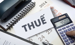 Không đăng ký thuế có thể bị truy thu toàn bộ số tiền từ trước đến nay