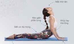 7 tư thế yoga đơn giản giúp giảm mỡ bụng