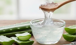 6 lợi ích tuyệt vời của gel lô hội với sức khoẻ làn da