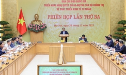 Thủ tướng: Kinh tế tư nhân tiếp tục khẳng định vai trò động lực quan trọng của nền kinh tế