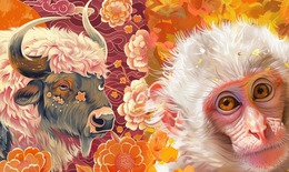 Tử vi 12 con giáp hôm nay 22/12: Sửu thăng tiến, Tý sự nghiệp rực rỡ