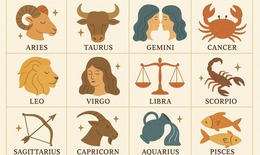 Tử vi tuần mới 12 cung hoàng đạo từ 22 - 28/12: Bọ Cạp rắc rối, Bảo Bình thuận lợi