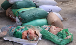 Bắt giữ hơn 2 tấn nội tạng động vật không rõ nguồn gốc đang trên đường đi tiêu thụ