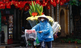 Miền Bắc sắp kết thúc những ngày ấm lạ thường giữa mùa đông