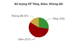 Xu hướng chứng khoán 24/12, hạn chế mua đuổi