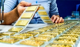 Giá vàng hôm nay ngày 23/12 tăng vọt lên đỉnh cao mới