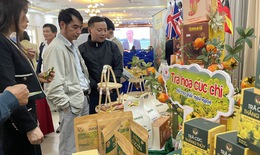 Hải Phòng tạo cầu nối tiêu thụ nông sản vùng Đồng bằng sông Hồng cho thị trường Tết