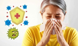 Người lớn tuổi dễ mắc bệnh khi giao mùa: cơ chế lão hóa nào đang âm thầm làm suy yếu sức đề kháng?