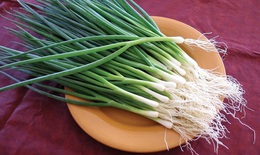 Hành lá – gia vị, vị thuốc quý của mùa đông