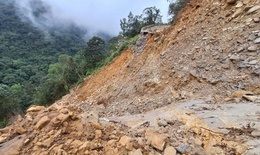 Đường lên đỉnh Bạch Mã bị sạt lở 'xé đôi', công tác bảo vệ rừng gặp khó