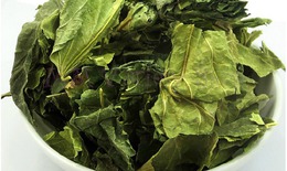 3 bài thuốc từ lá dâu tốt cho người bệnh tiểu đường