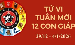 Tử vi tuần mới 12 con giáp từ 29/12 - 4/1: Dậu sụt giảm tài lộc, Mùi công danh tăng tiến