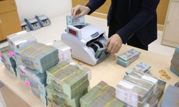 Bộ Tài chính đã chuyển đủ kinh phí tặng quà nhân dịp chào mừng Đại hội Đảng XIV và Tết Nguyên đán