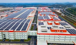 Đầu tư tái chế pin xe điện thế nào cho an toàn và hiệu quả?