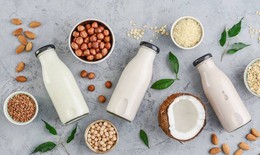 Hành trình từ hạt đến hộp sữa và bí quyết giữ trọn dưỡng chất thực vật