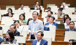 Đề xuất miễn, giảm, hoàn thuế cho DN, hộ kinh doanh vùng bị bão lũ