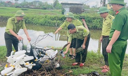 Nghệ An đồng loạt truy qu&#233;t, chặn đứng nạn tận diệt chim hoang d&#227;
