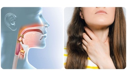 Đau họng c&#243; phải dấu hiệu của ung thư v&#242;m họng?