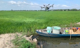 Khoa học c&#244;ng nghệ gi&#250;p ĐBSCL h&#243;a giải khủng hoảng nước, thay đổi c&#225;ch sản xuất