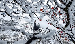 Khách du lịch có thể 'săn tuyết' vào dịp nghỉ Tết Dương lịch