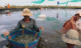 Quy định mới về đối tượng không chịu thuế giá trị gia tăng